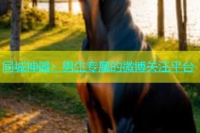 同城神器：男生专属的微博关注平台