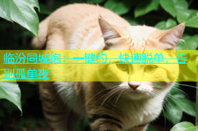 临汾同城炮：一键约，快速脱单，告别孤单夜