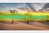 长沙同城微信平台，快速交友