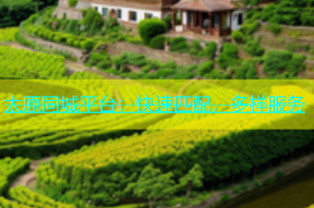 太原同城平台：快速匹配，多样服务