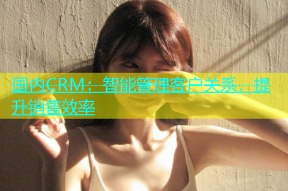 国内CRM：智能管理客户关系，提升销售效率