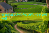 天津同城交友约会QQ群，快速找到伴侣
