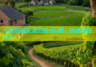 天津同城交友约会QQ群，快速找到伴侣