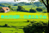寿光同城群：快速交友平台