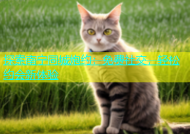 探索南宁同城炮约：免费社交，轻松约会新体验