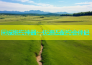 同城炮约神器：快速匹配约会伴侣