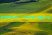 昭通同城平台，快速匹配，随时约会