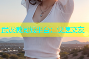 武汉微同城平台：快速交友