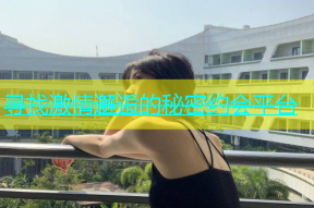 寻找激情邂逅的秘密约会平台
