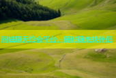同城聊天约会平台，随时随地找伴侣