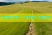 同城炮约神器：快速匹配，实时聊天