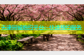 天津同城炮约平台：快速预约服务