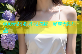 600元2小时不限次数，畅享无限乐趣