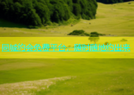 同城约会免费平台，随时随地约出来