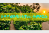 微博同城暗号约会平台，快速遇见你