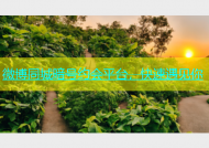 微博同城暗号约会平台，快速遇见你