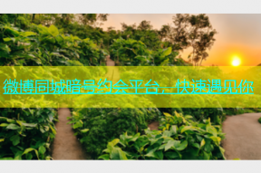 微博同城暗号约会平台，快速遇见你