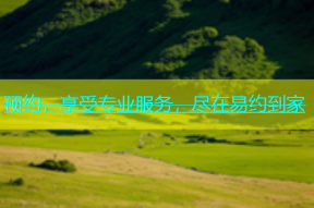 预约，享受专业服务，尽在易约到家