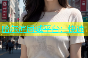 哈尔滨同城平台：快速
