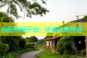 合肥同城平台，快速找到伴侣