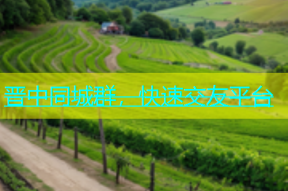 晋中同城群，快速交友平台