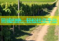 同城约绝，轻松社交平台