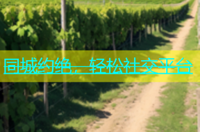 同城约绝，轻松社交平台