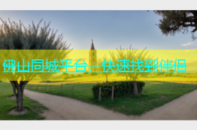 佛山同城平台，快速找到伴侣