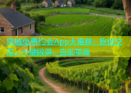同城免费约会App大推荐：附近交友，一键脱单，告别单身