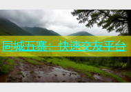 同城五寨：快速交友平台