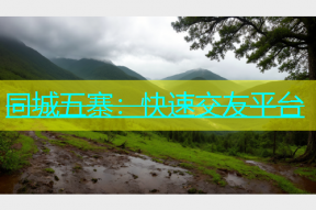 同城五寨：快速交友平台