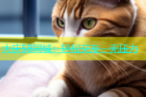 大庆58同城：轻松交友，无压力