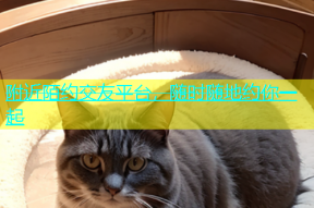 附近陌约交友平台，随时随地约你一起