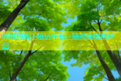 同城约线下陪玩平台，随时随地找伴侣