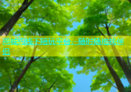 同城约线下陪玩平台，随时随地找伴侣