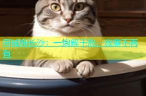 同城炮长沙：一炮解千愁，寂寞不再有