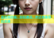 昌吉微同城：即刻邂逅，附近单身等你来撩