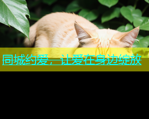 同城约爱，让爱在身边绽放  第2张