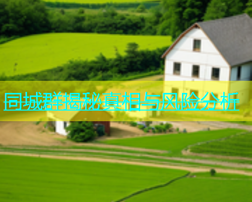 同城群揭秘真相与风险分析  第1张