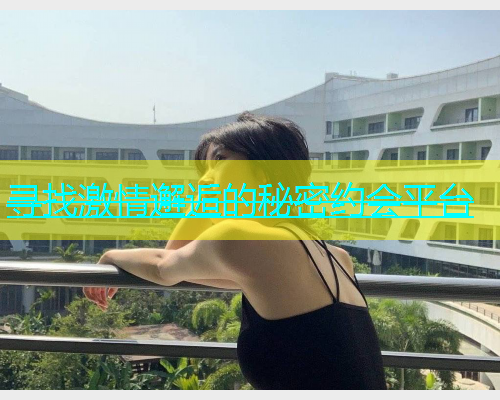 寻找激情邂逅的秘密约会平台  第1张