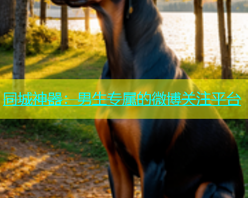 同城神器：男生专属的微博关注平台  第1张
