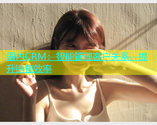 国内CRM：智能管理客户关系，提升销售效率  第1张
