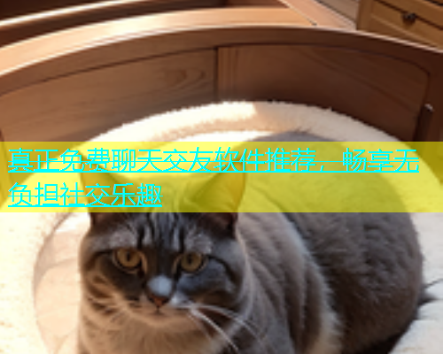 真正免费聊天交友软件推荐，畅享无负担社交乐趣  第1张