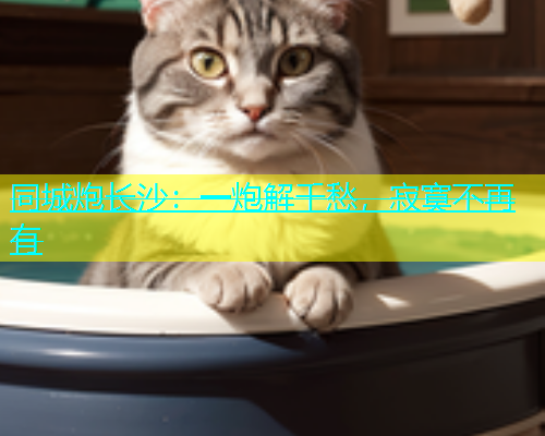 同城炮长沙：一炮解千愁，寂寞不再有  第1张