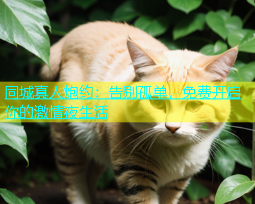 同城真人炮约：告别孤单，免费开启你的激情夜生活  第1张