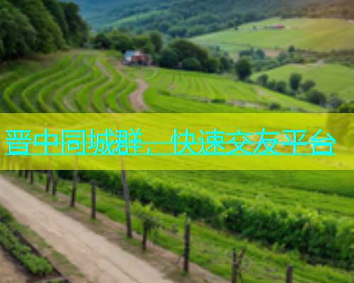 晋中同城群，快速交友平台  第1张