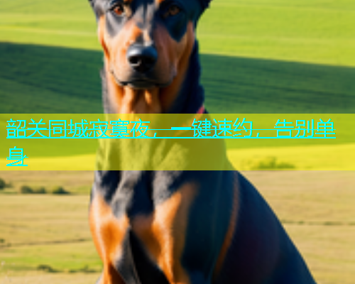 韶关同城寂寞夜，一键速约，告别单身  第1张