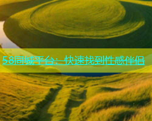 58同城平台：快速找到性感伴侣  第1张
