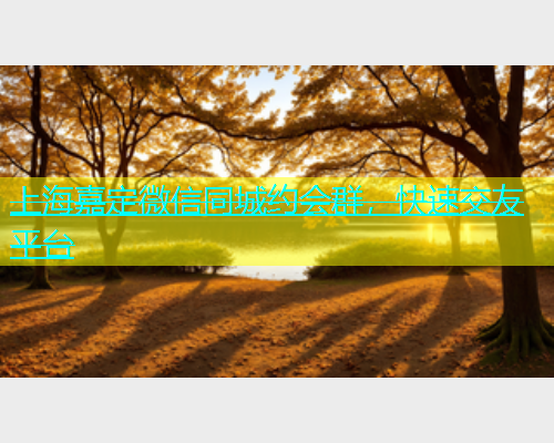上海嘉定微信同城约会群，快速交友平台  第1张