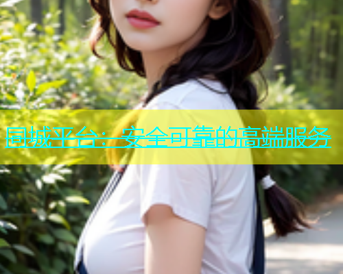 同城平台：安全可靠的高端服务  第1张